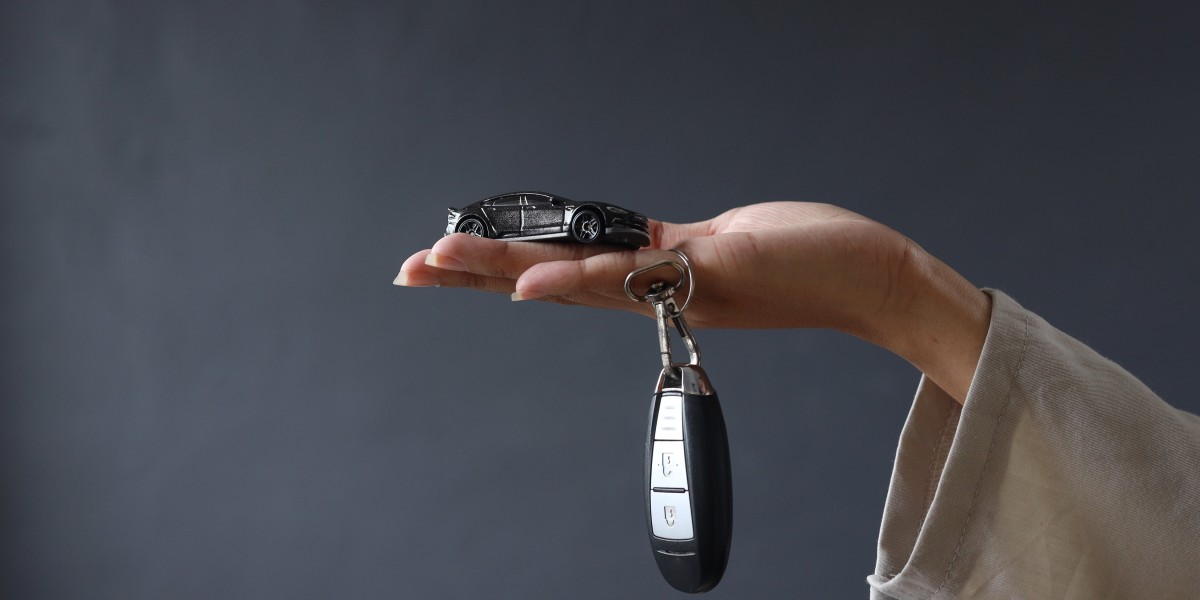 What's The Job Market For Programme Car Key Professionals?